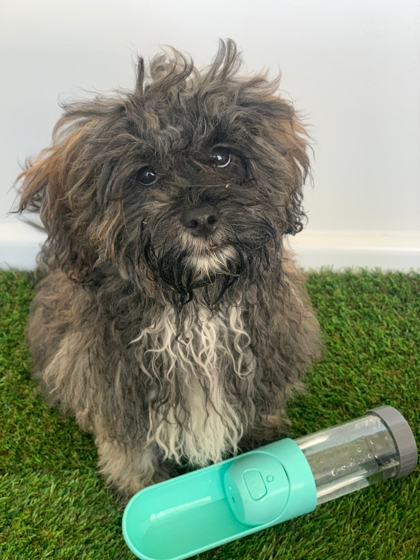 puppertravelbottle - Activated Carbon Filter FOREST SHADE